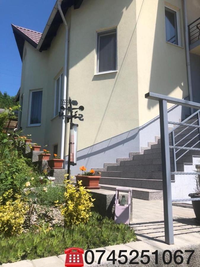 Отель Casa Alessias Вишеу-де-Сус Экстерьер фото