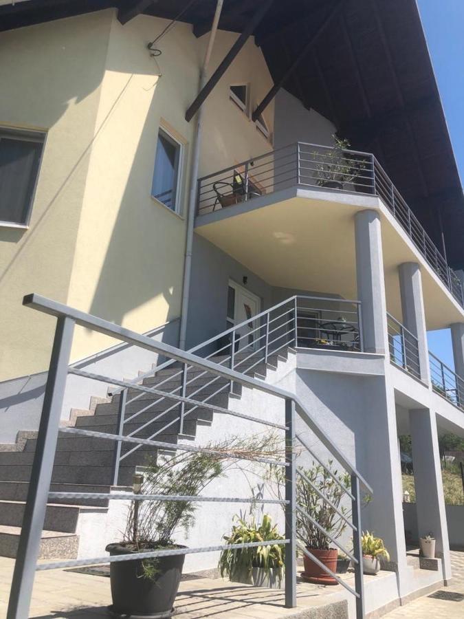 Отель Casa Alessias Вишеу-де-Сус Экстерьер фото